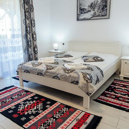 Casa Alexandru - Locul In Care Te Simti Acasa Ξενοδοχείο Viσeu de Jos Εξωτερικό φωτογραφία