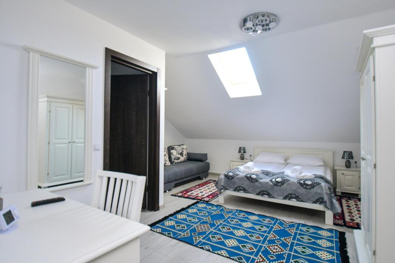 Casa Alexandru - Locul In Care Te Simti Acasa Ξενοδοχείο Viσeu de Jos Εξωτερικό φωτογραφία