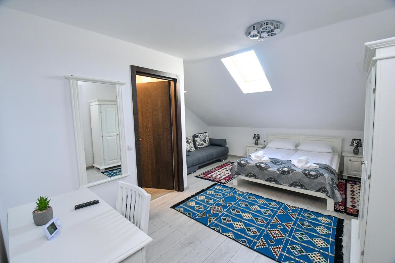 Casa Alexandru - Locul In Care Te Simti Acasa Ξενοδοχείο Viσeu de Jos Εξωτερικό φωτογραφία