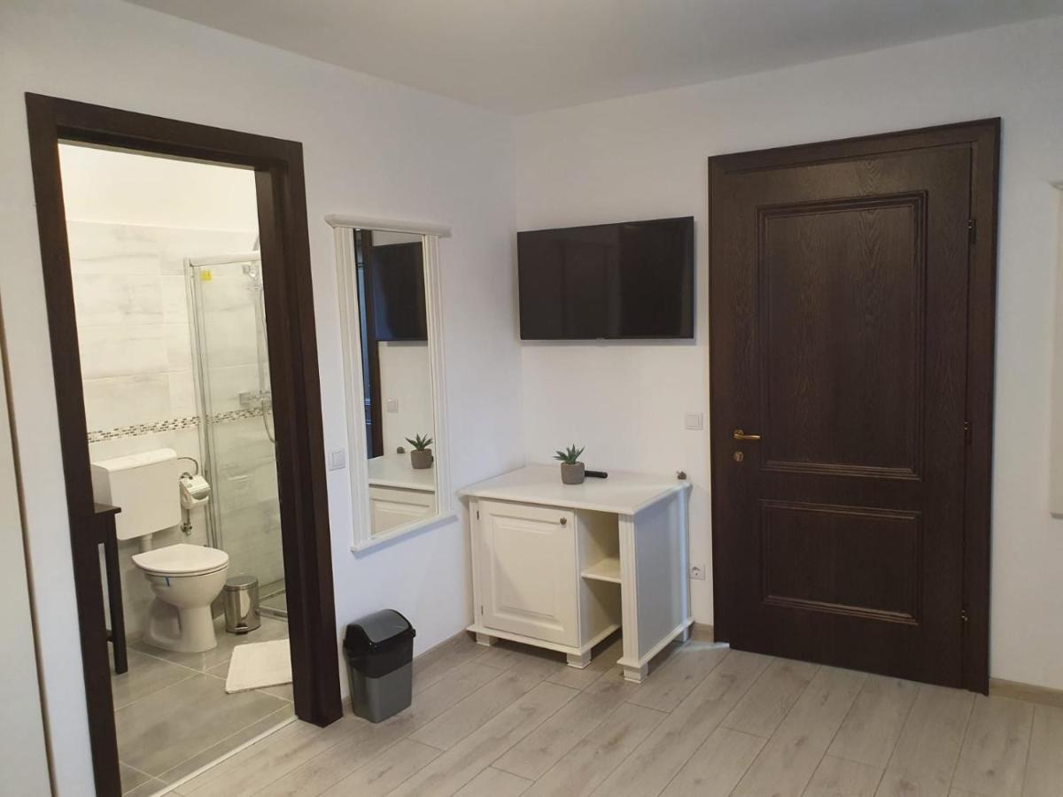 Casa Alexandru - Locul In Care Te Simti Acasa Ξενοδοχείο Viσeu de Jos Εξωτερικό φωτογραφία