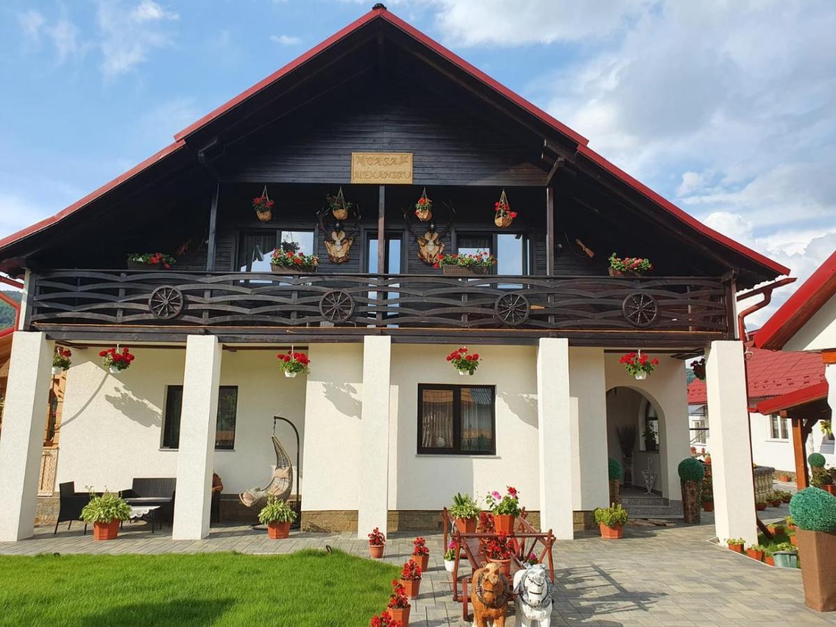 Casa Alexandru - Locul In Care Te Simti Acasa Ξενοδοχείο Viσeu de Jos Εξωτερικό φωτογραφία