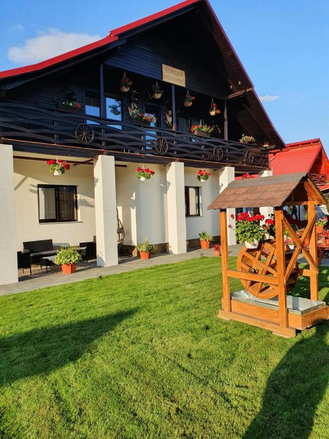 Casa Alexandru - Locul In Care Te Simti Acasa Ξενοδοχείο Viσeu de Jos Εξωτερικό φωτογραφία