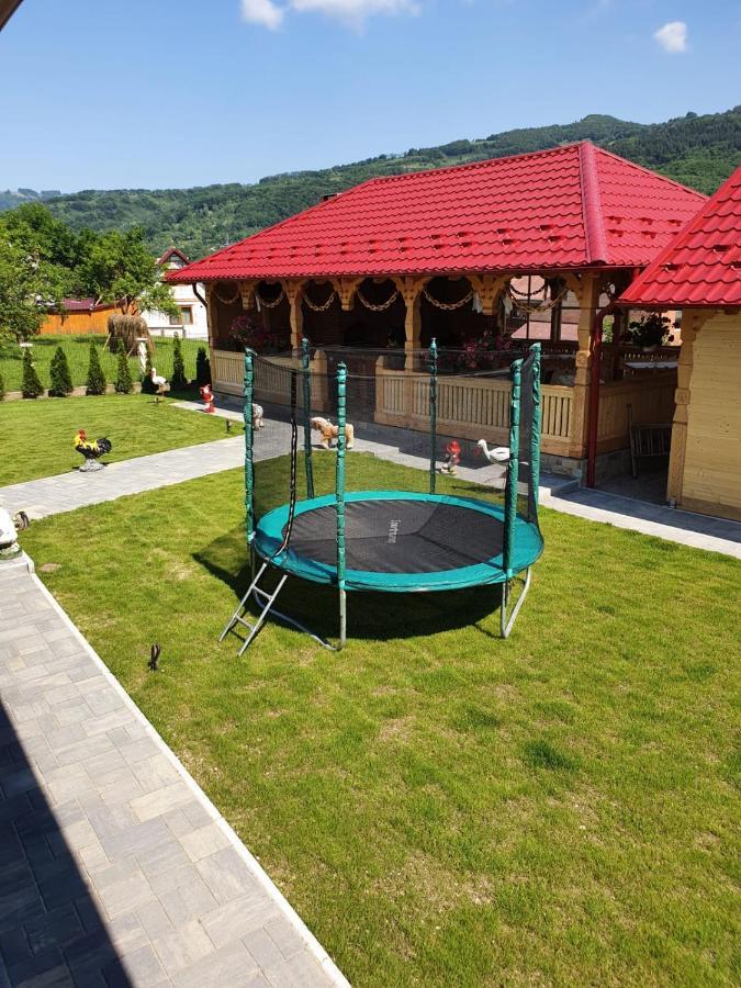 Casa Alexandru - Locul In Care Te Simti Acasa Ξενοδοχείο Viσeu de Jos Εξωτερικό φωτογραφία