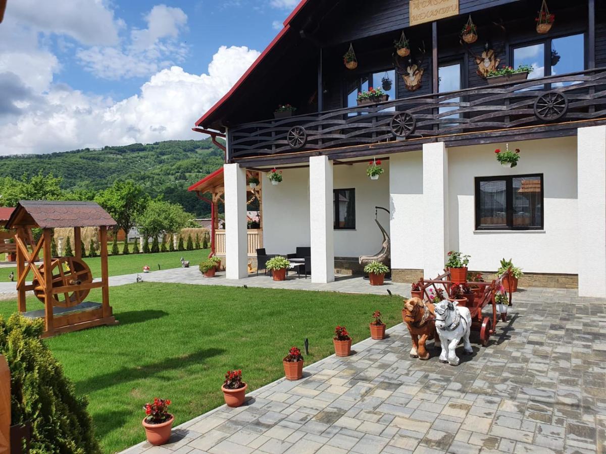 Casa Alexandru - Locul In Care Te Simti Acasa Ξενοδοχείο Viσeu de Jos Εξωτερικό φωτογραφία