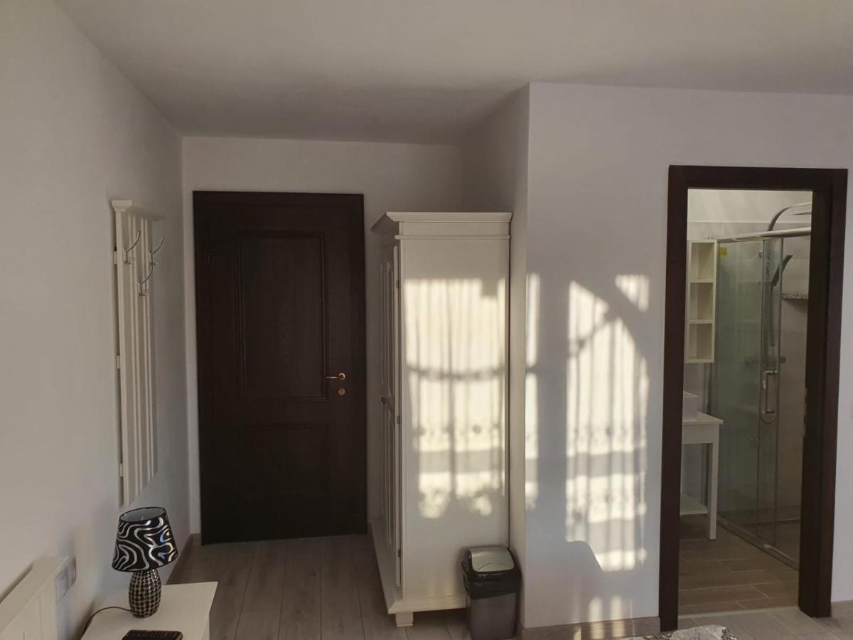 Casa Alexandru - Locul In Care Te Simti Acasa Ξενοδοχείο Viσeu de Jos Εξωτερικό φωτογραφία