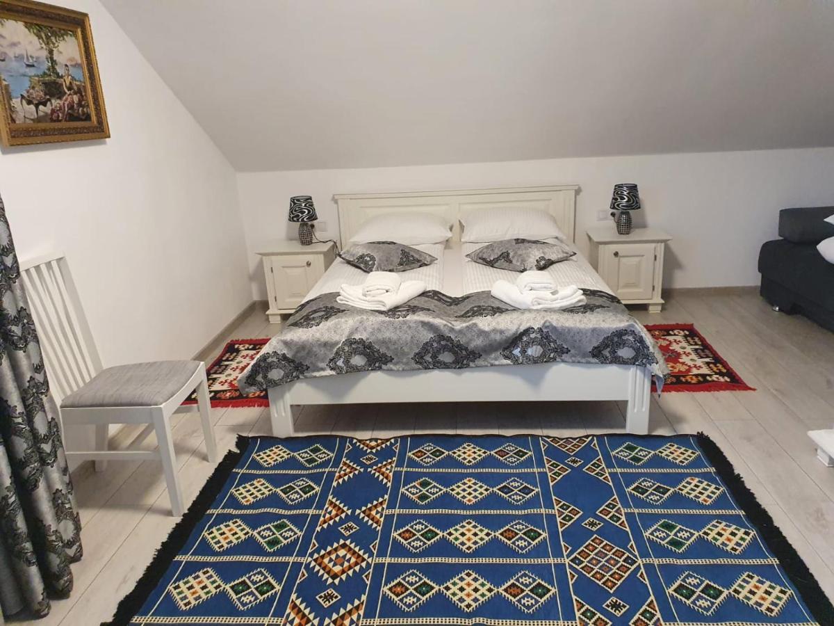 Casa Alexandru - Locul In Care Te Simti Acasa Ξενοδοχείο Viσeu de Jos Εξωτερικό φωτογραφία